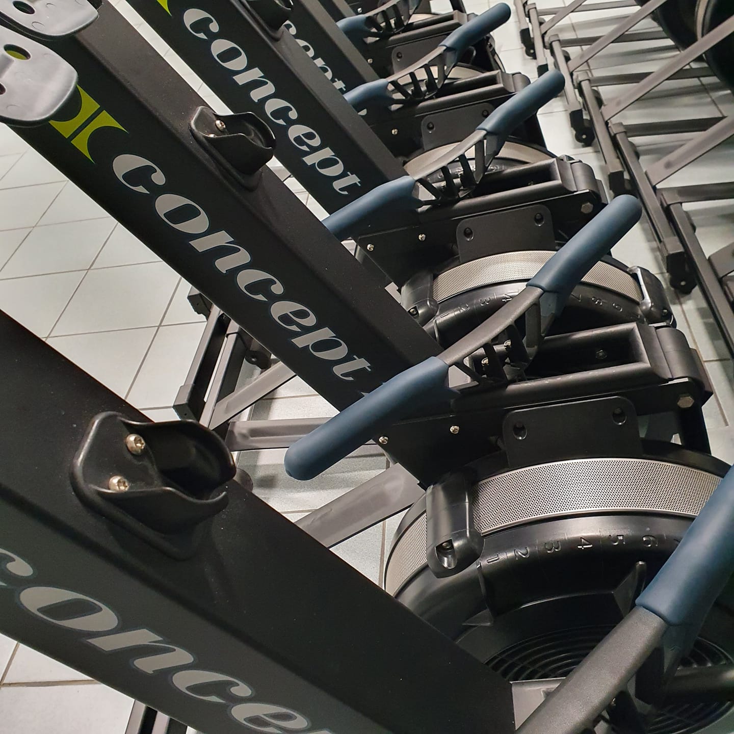 Indoor Rowing in palestra a Trento | Prosport a.s.d. Trento | canottaggio indoor